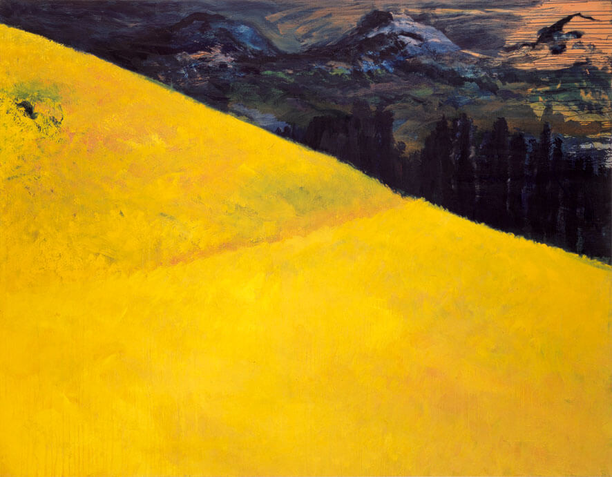Moränenlandschaft. Felder, 1986/87 | Acryl/Leinwand | 180 × 230 cm | WVZ 594