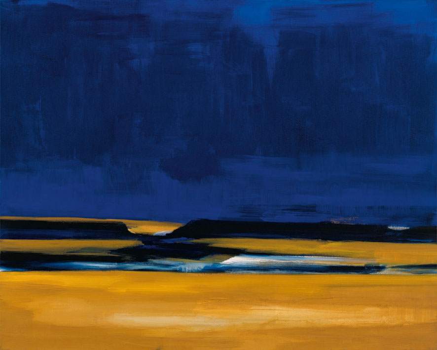 Bernd Zimmer | Namib. Sand. Kamm, 1999 | Acryl | 160 × 200 cm | WVZ 1496