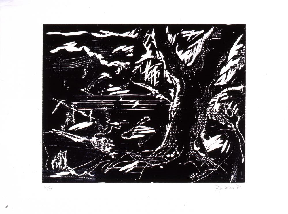 Bernd Zimmer | Baum, 1986 | 48,0 x 64,5 cm | 22 Exemplare | WVZ 009