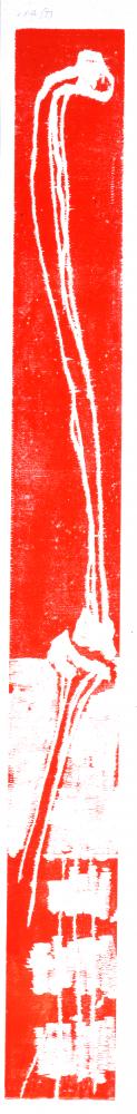 Bernd Zimmer | Oranger Schnitt, 1992 | 204,0 x 24,0 cm | 8 Exemplare | WVZ 071