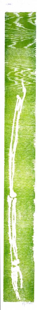 Grüne Hand, 1992 | 206,0 x 24,0 cm | 4 Exemplare | WVZ 073