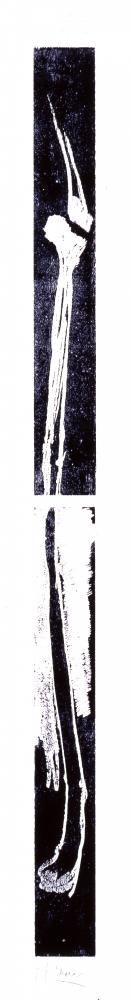 Bernd Zimmer | Getrennte Knochen (2), 1992 | 180,0 x 24,0 cm | 5 Exemplare | WVZ 074