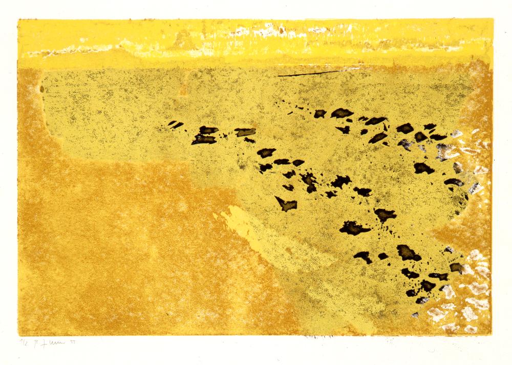 Bernd Zimmer | Wüste, 1995 | 70,4 x 100,0 cm | 2 Exemplare | WVZ 112.5