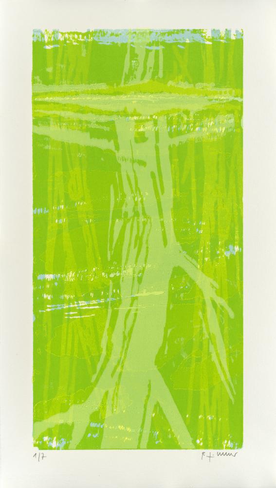 Reflexion VIII, 2009 | 79,0 x 45,0 cm | 7 Exemplare | WVZ 317
