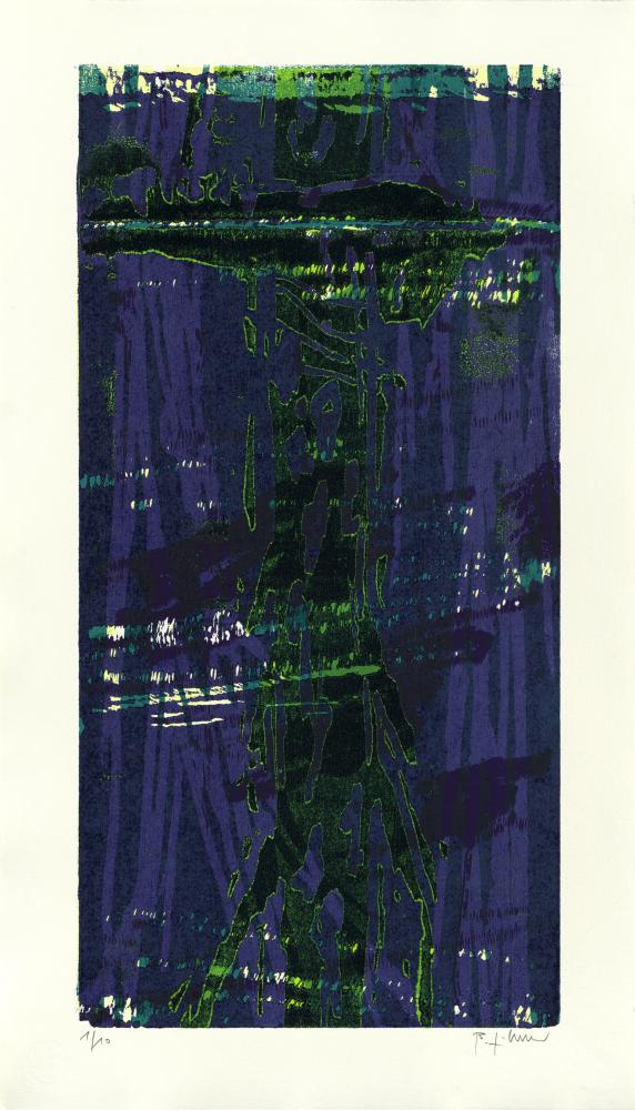 Baumspiegel, 2009 | 79,0 x 45,0 cm | 10 Exemplare | WVZ 320