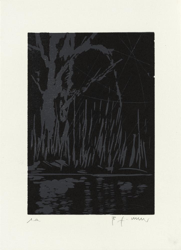 Baum. Reflex I, 2010 | 37,0 x 26,5 cm | 25 Exemplare | WVZ 327.2