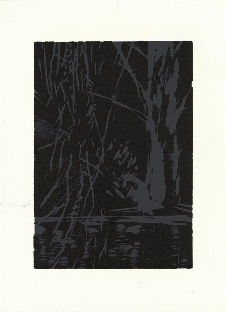 Baum. Reflex II, 2010 | 37,0 x 26,5 cm | 25 Exemplare | WVZ 328.2