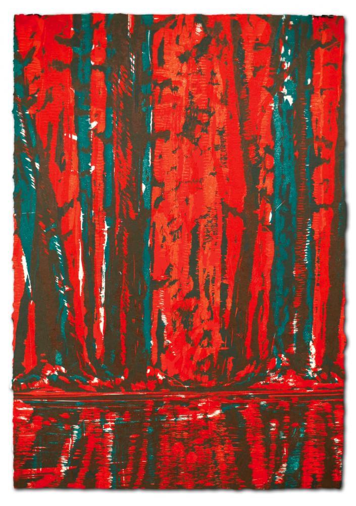Wald-Spiegel-Wasser I, 2011 | 77,0 x 54,0 cm | 12 Exemplare | WVZ 423