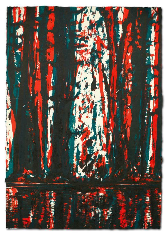 Wald-Spiegel-Wasser III, 2011 | 77,0 x 54,0 cm | 12 Exemplare | WVZ 425