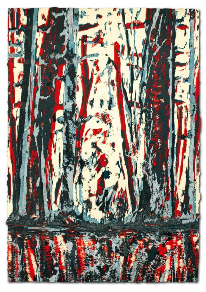 Wald-Spiegel-Wasser, 2011 | 77,0 x 54,0 cm | Unikat | WVZ 427