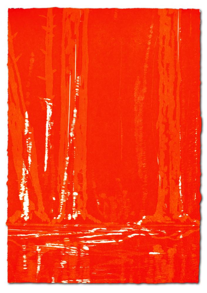 Wald-Spiegel-Wasser, 2011 | 77,0 x 54,0 cm | Unikat | WVZ 428