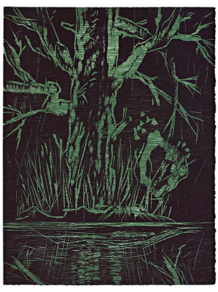 Blatt 3 der Folge „WALD SPIEGEL WASSER“, 2011 | 38,0 x 29,0 cm | 10 Exemplare | WVZ 334