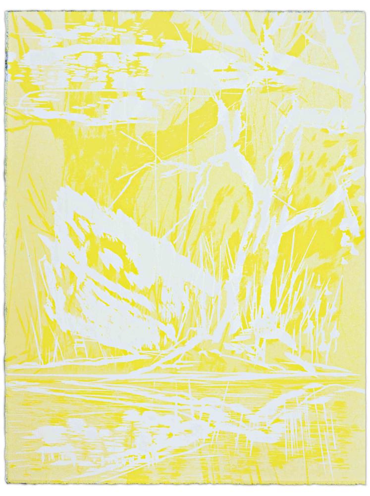 Blatt 10 der Folge „WALD SPIEGEL WASSER“, 2011 | 38,0 x 29,0 cm | 10 Exemplare | WVZ 341