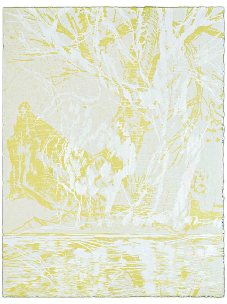 Blatt 11 der Folge „WALD SPIEGEL WASSER“, 2011 | 38,0 x 29,0 cm | 10 Exemplare | WVZ 342