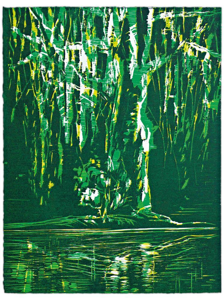 Blatt 14 der Folge „WALD SPIEGEL WASSER“, 2011 | 38,0 x 29,0 cm | 10 Exemplare | WVZ 345