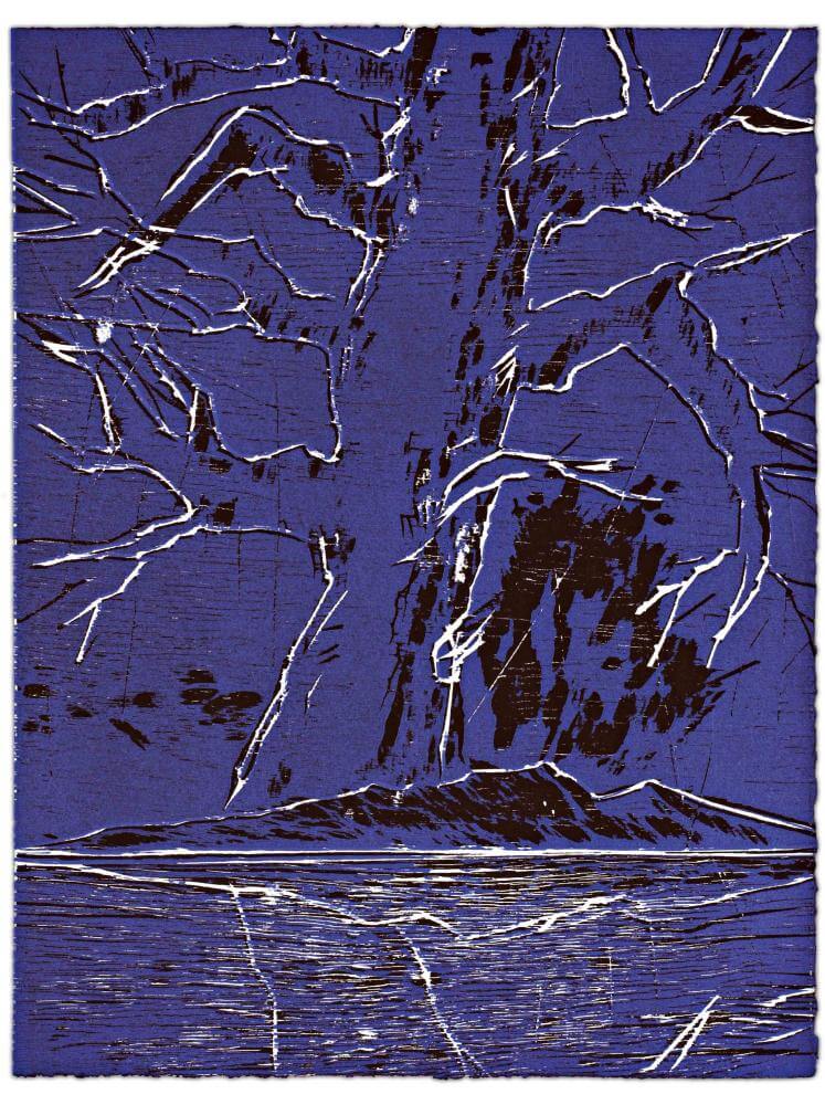 Blatt 17 der Folge „WALD SPIEGEL WASSER“, 2011 | 38,0 x 29,0 cm | 10 Exemplare | WVZ 348