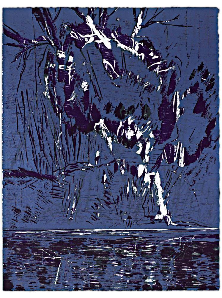 Blatt 25 der Folge „WALD SPIEGEL WASSER“, 2011 | 38,0 x 29,0 cm | 10 Exemplare | WVZ 356