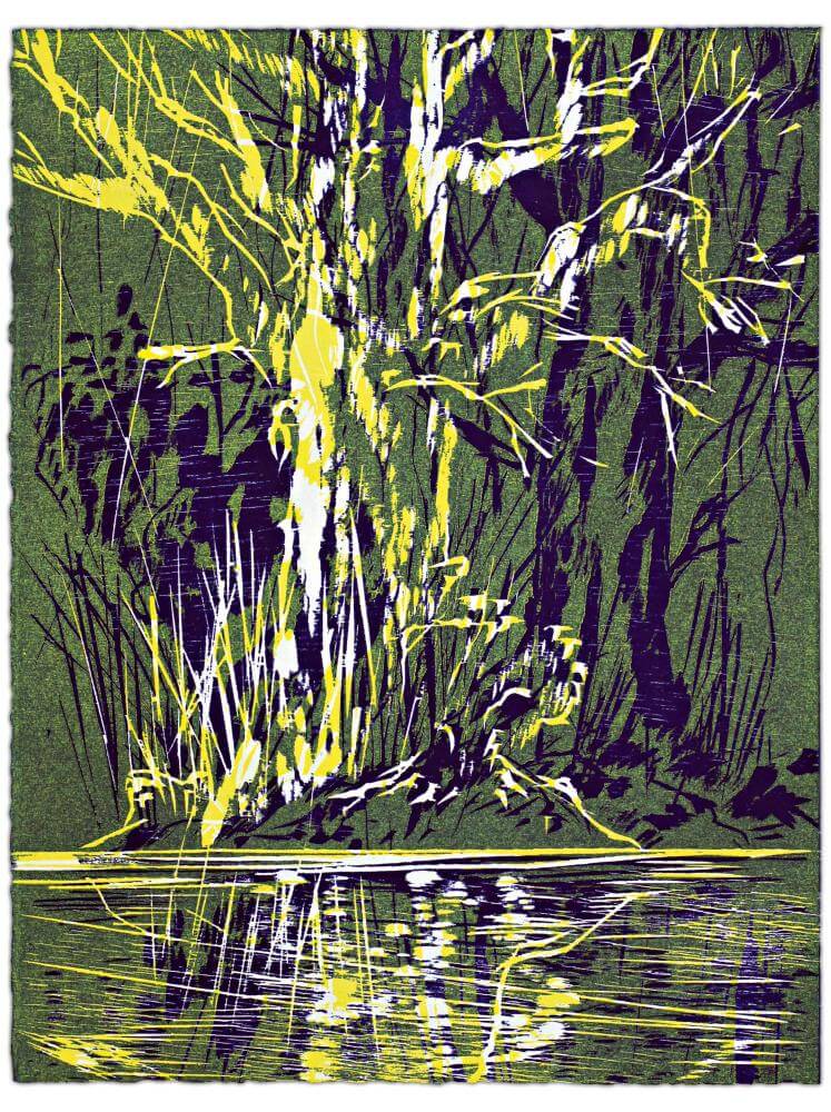 Blatt 28 der Folge „WALD SPIEGEL WASSER“, 2011 | 38,0 x 29,0 cm | 10 Exemplare | WVZ 359