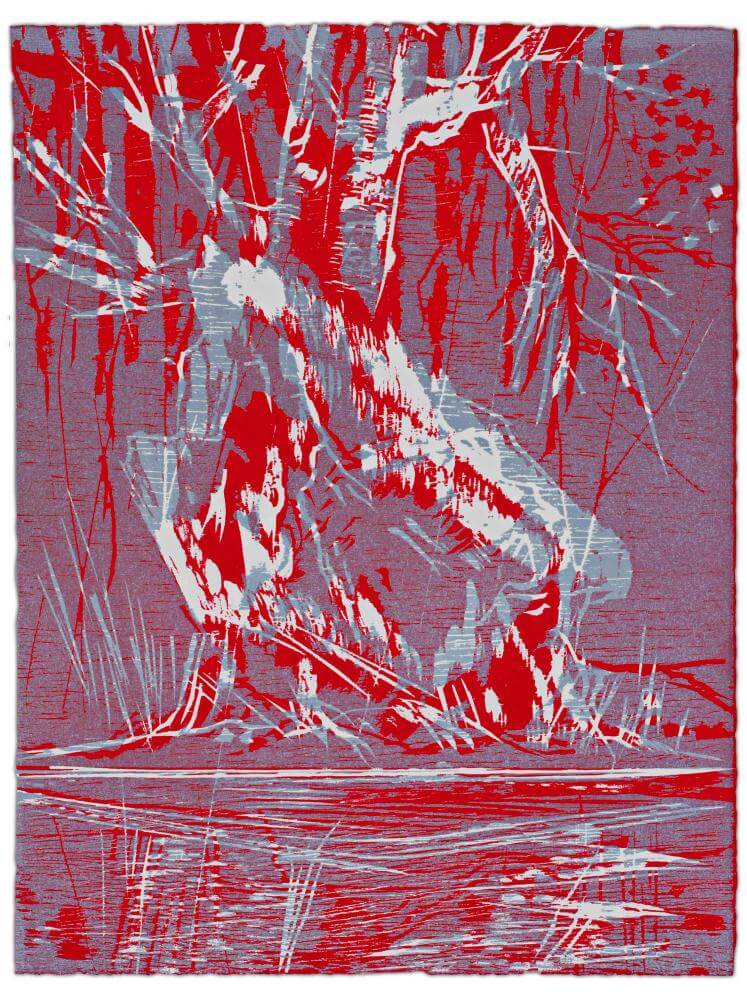 Blatt 31 der Folge „WALD SPIEGEL WASSER“, 2011 | 38,0 x 29,0 cm | 10 Exemplare | WVZ 362