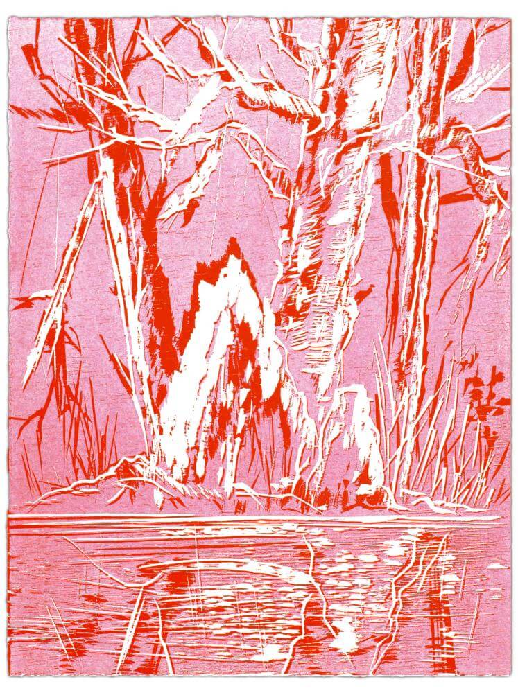 Blatt 32 der Folge „WALD SPIEGEL WASSER“, 2011 | 38,0 x 29,0 cm | 10 Exemplare | WVZ 363