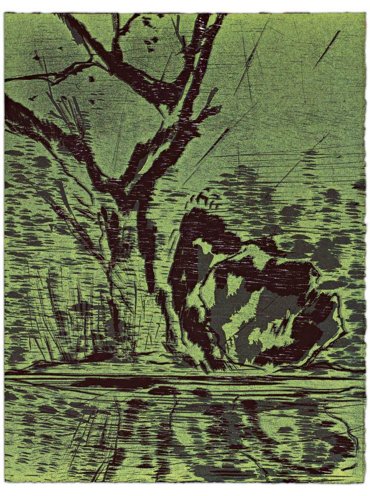 Blatt 43 der Folge „WALD SPIEGEL WASSER“, 2011 | 38,0 x 29,0 cm | 10 Exemplare | WVZ 374