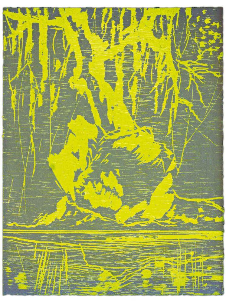 Blatt 45 der Folge „WALD SPIEGEL WASSER“, 2011 | 38,0 x 29,0 cm | 10 Exemplare | WVZ 376