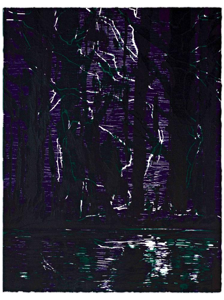 Blatt 49 der Folge „WALD SPIEGEL WASSER“, 2011 | 38,0 x 29,0 cm | 10 Exemplare | WVZ 380