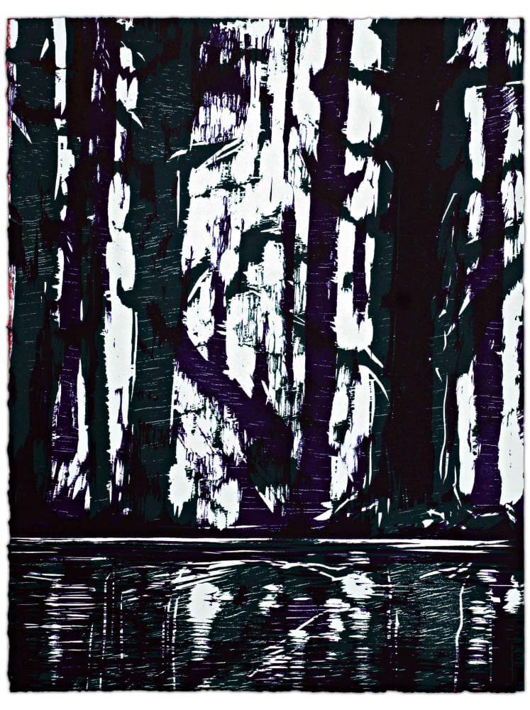 Blatt 52 der Folge „WALD SPIEGEL WASSER“, 2011 | 38,0 x 29,0 cm | 10 Exemplare | WVZ 383