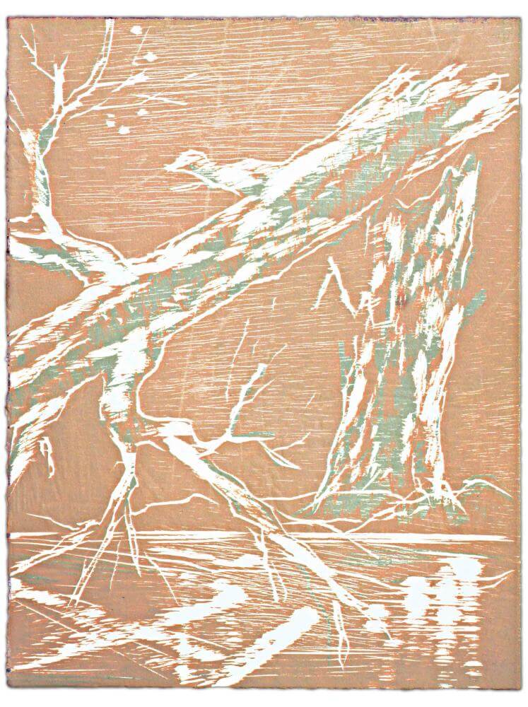 Blatt 54 der Folge „WALD SPIEGEL WASSER“, 2011 | 38,0 x 29,0 cm | 10 Exemplare | WVZ 385