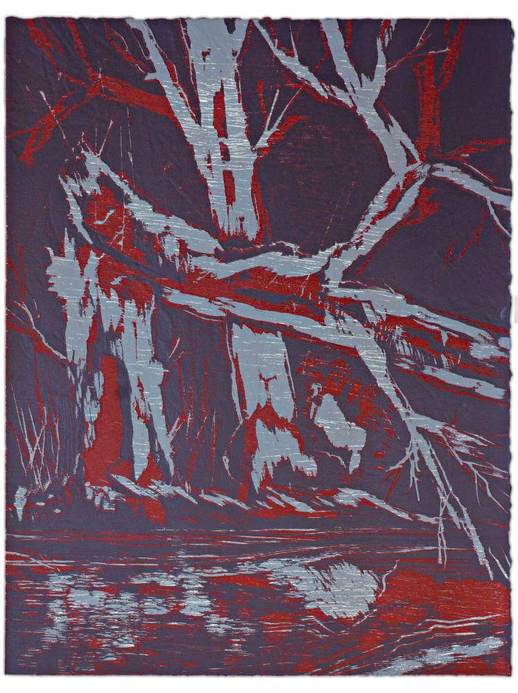 Blatt 55 der Folge „WALD SPIEGEL WASSER“, 2011 | 38,0 x 29,0 cm | 10 Exemplare | WVZ 386