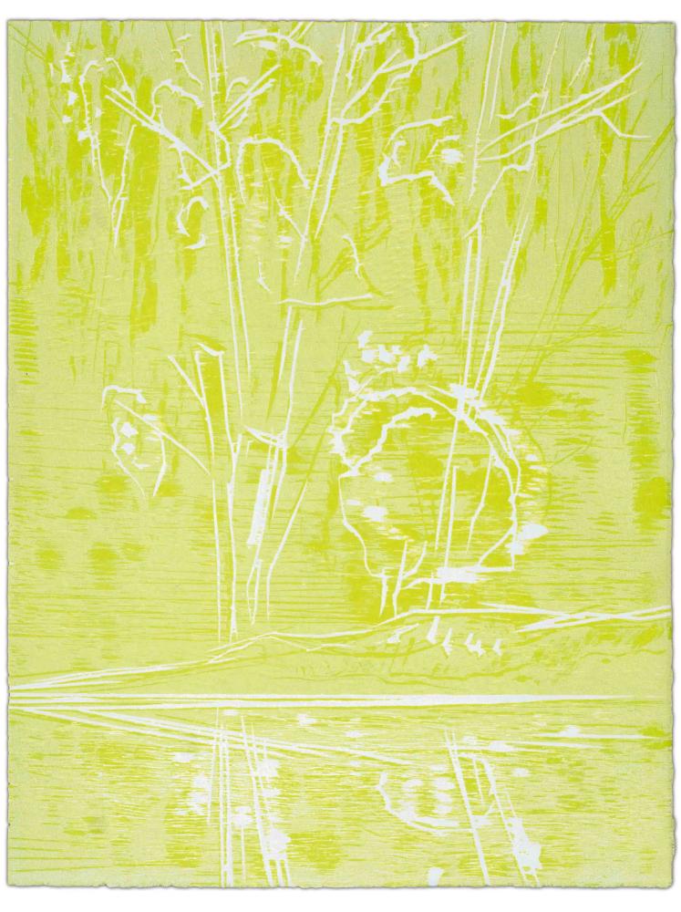 Blatt 57 der Folge „WALD SPIEGEL WASSER“, 2011 | 38,0 x 29,0 cm | 10 Exemplare | WVZ 388