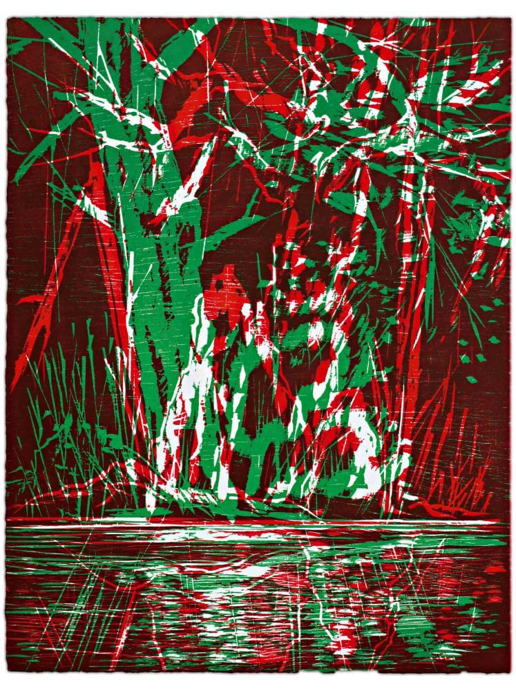 Blatt 62 der Folge „WALD SPIEGEL WASSER“, 2011 | 38,0 x 29,0 cm | 10 Exemplare | WVZ 393