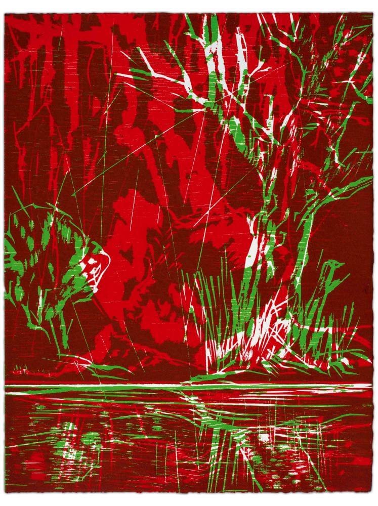 Blatt 63 der Folge „WALD SPIEGEL WASSER“, 2011 | 38,0 x 29,0 cm | 10 Exemplare | WVZ 394