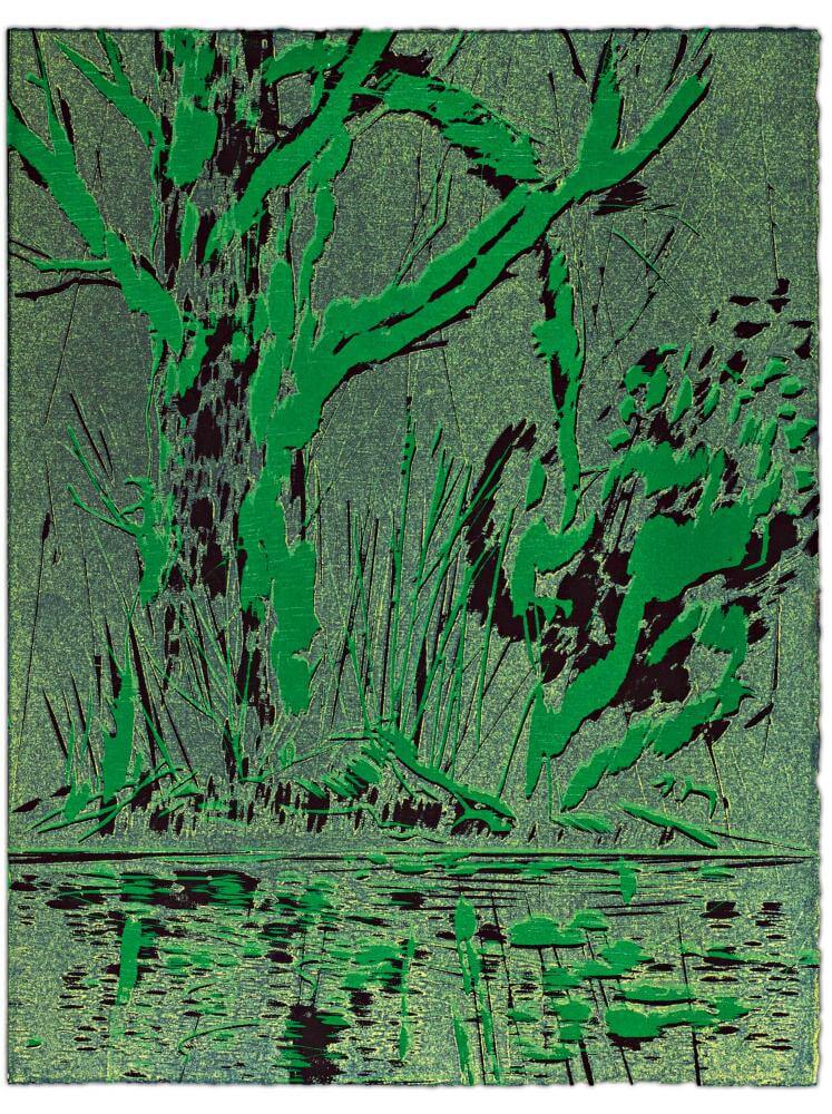 Blatt 67 der Folge „WALD SPIEGEL WASSER“, 2011 | 38,0 x 29,0 cm | 10 Exemplare | WVZ 398
