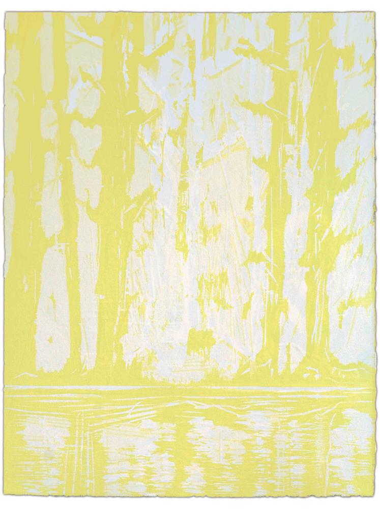 Blatt 69 der Folge „WALD SPIEGEL WASSER“, 2011 | 38,0 x 29,0 cm | 10 Exemplare | WVZ 400
