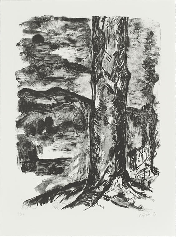 Stammbaum, 1986 | 78,0 x 58,0 cm| 8 + 30 Exemplare | WVZ 8